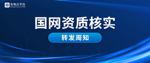 国网资质核实 关于2019年财务信息审核的通知